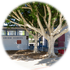 Meadows Union School